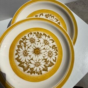 2 Dinner Plates Yellow Daisy Golden Floral by Jamestown China Retro 10” vintage